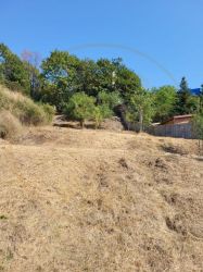 Teren intravilan Pitesti - langa liceul Odobescu - 1083 mp, demisol ex