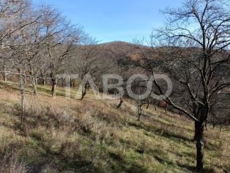 Teren intravilan pretabil cabana 1300 mp utilitati Inuri Vintu de Jos