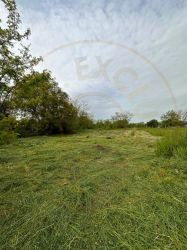  Teren intravilan Prundu - oportunitate excelentă de investiție! 