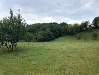 Teren intravilan Vălenii de Munte – 3.000 mp Ideal investiție sau 