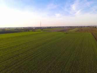 Teren Investitional 1,24 ha Com Berceni | deschidere 42ml | #CG28