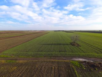 Teren Investitional 1,24 ha Com Berceni | deschidere 42ml | #CG28