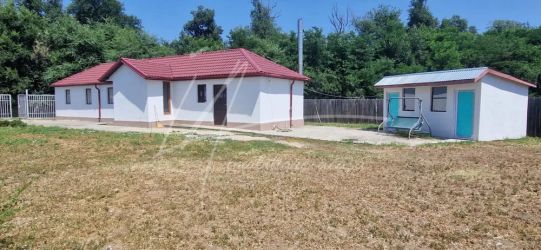 Teren langa padure,aproape de Bucuresti 10 275 mp de liniste.