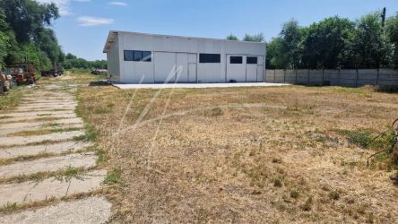 Teren langa padure,aproape de Bucuresti 10 275 mp de liniste.