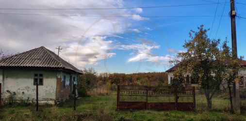 Teren Mosaia 6975 mp intravilan