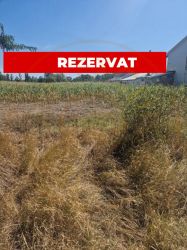 Teren Mosoaia, Lazaresti!