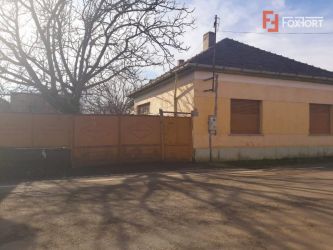 Teren pentru investitie si casa batraneasca, Giarmata Vii - V1097