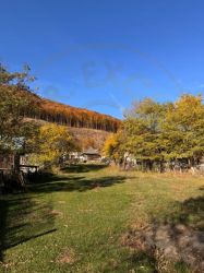 Teren Salatrucu - 7500 mp