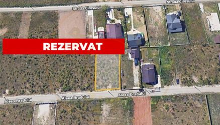 Teren Trivale - Aleea Bradului - Zona excelenta