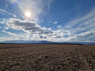 Terenarabil  arabil 5950mp extravilan zona Sopa  Selimbar 