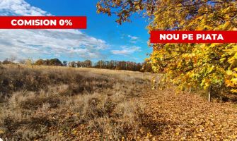 Terenuri intravilane Comuna Mosoaia