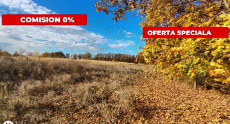 Terenuri intravilane Comuna Mosoaia