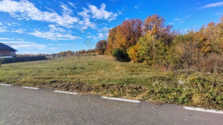 Terenuri intravilane Comuna Mosoaia