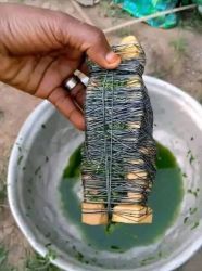 The Best Powerful SpirItual Herbalist IN Nigeria+2348117855171
