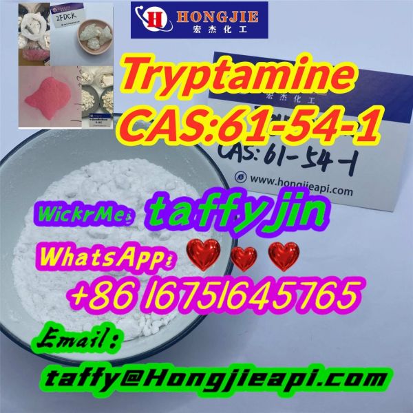 Tryptamine61 54 1 Tap My Phone Number search On Google you Can See Mo 