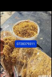 Tutun Tocat și Firicel