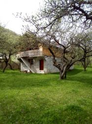 Vând casă de vacanță și teren (26000 mp)