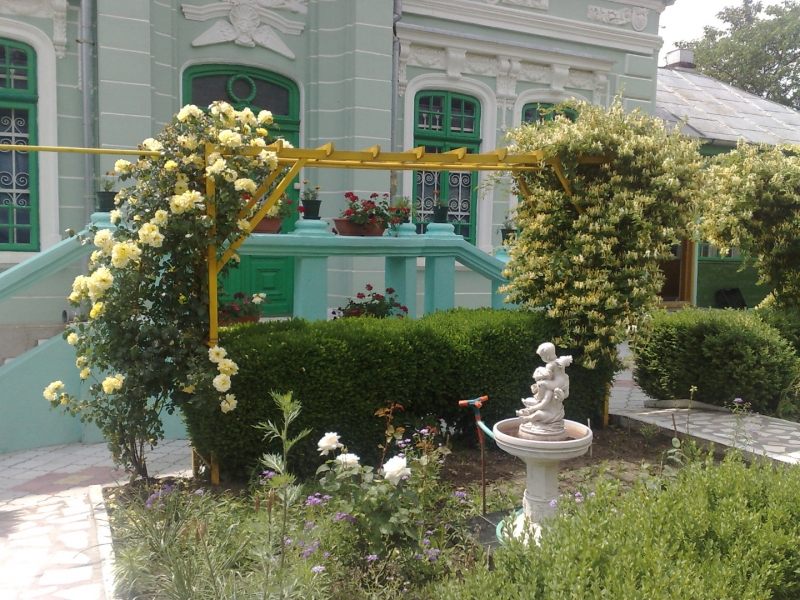 Vand casa+teren, gard in gard cu Parcul Copou, Vaslui-1