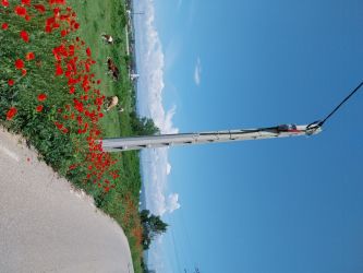 Vând teren 3700 mp în Șimian Mehedinți 