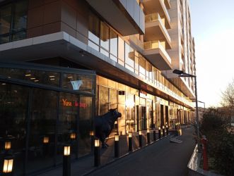 Vanzare Duplex 5 camere | Nerva-Timpuri Noi | 146 mp | bloc 2021