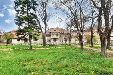 Vila interbelica isi asteapta cu speranta tacuta noul proprietar