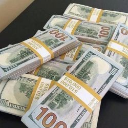 We looking for a project to invest in 